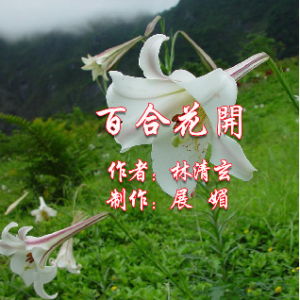 散文：《 百合花开 》原唱是作者：林清玄    制作：展媚，由梦兰翻唱(播放:39)