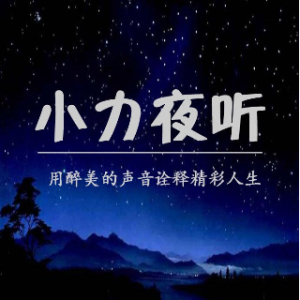 小力夜听：无法跟喜欢的人在一起 其实是人生常态(热度:13)由张华翻唱，原唱歌手董小力