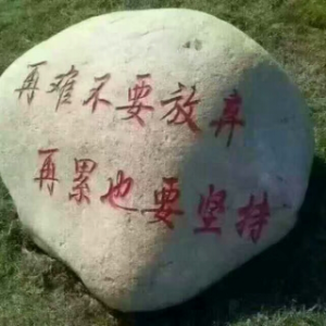 娜娜的头像