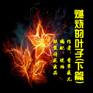 演唱歌手阎平的头像