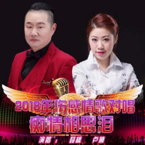 痴情相思泪(热度:115)由玲玲翻唱，原唱歌手聂枫/卢喃