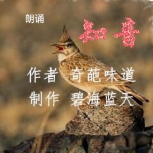 朗诵《知音》  作者 奇葩味道(热度:27)由满天星翻唱，原唱歌手 制作  碧海蓝天