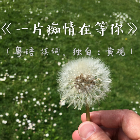 《一片痴情在等你》粤语(热度:55)由翁翁翻唱，原唱歌手黄观