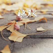 朗诵：晚秋(热度:252)由大韩翻唱，原唱歌手作者：北方人 制作：佳姐