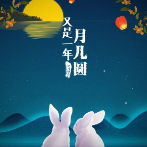 又是一年月儿圆(热度:84)由玲玲翻唱，原唱歌手星月组合