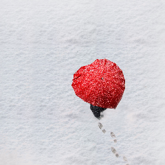 朗诵《听说，你那里下雪了》(热度:49)由bingfeng翻唱，原唱歌手作者：小魔，制作：小魔