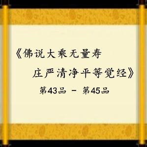 《佛说大乘无量寿庄严清净平等觉经》第43品-第45品(热度:19)由如意宝珠善净翻唱，原唱歌手盈莲