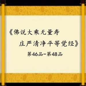 《佛说大乘无量寿庄严清净平等觉经》第46品-第48品原唱是盈莲，由如意宝珠善净翻唱(播放:25)