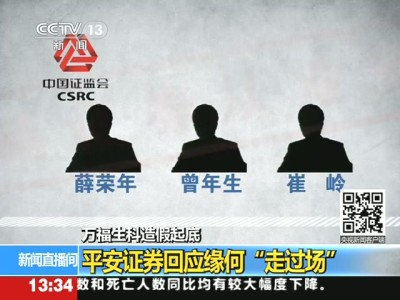 收入证明_保荐人收入(2)