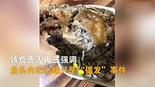 吃完鱼肉发现鱼头里全是蛆 店家竟称是偶发事件