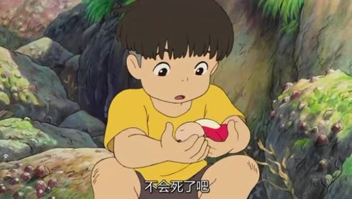 悬崖上的金鱼姬:小男孩海边玩耍时,竟然捡到一只奇怪的小鱼