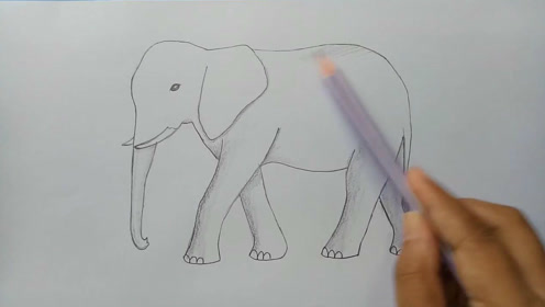 儿童美术绘画:简单几笔教宝宝怎么画大象