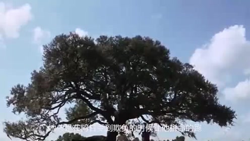 深度解析《阿甘正传》这个它真的不只是励志片，你真的看懂了吗？