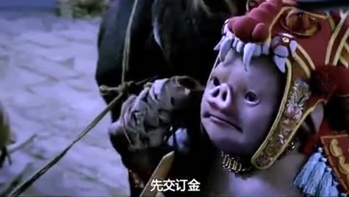 猪妖想娶一头母驴做老婆,这小表情太逗了,快笑晕了