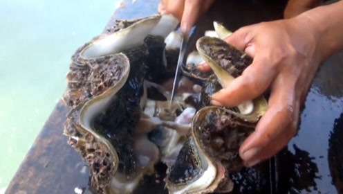 潜水抓到巨型海蚌,男子撬开后脸色大变:"幸福"来得太突然!