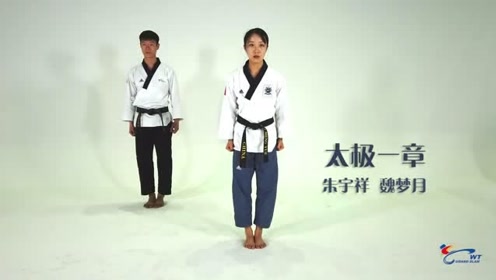 太极第一章视频