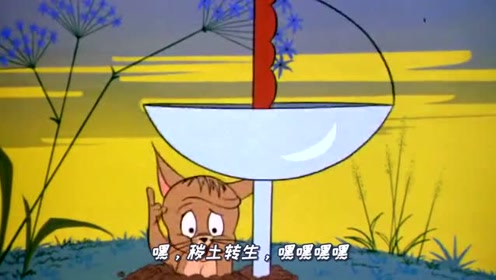 四川方言猫和老鼠:汤姆猫大战火影忍者,老鼠会忍术猫也挡不住!