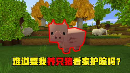 迷你世界教学:说好的驯服狗狗看家护院,狗狗居然变成了小猪?