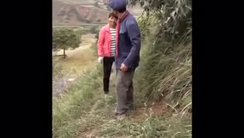 甘肃农村两口子太搞笑,在地里发生的一幕