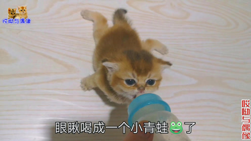 哎呦与偶像的其它视频