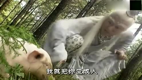 春光灿烂猪八戒:太白金星施法,让猪的灵魂注入朱逢春的尸体
