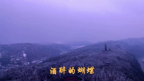 孙艺琪一曲dj《酒醉的蝴蝶》女声版,动感醉人
