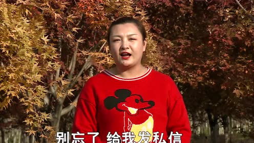 关东微喜剧的其它视频