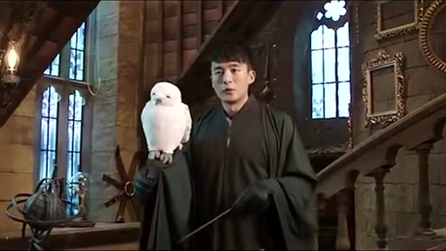 吕子乔说都是送分题，陈美嘉表示全是送命题！