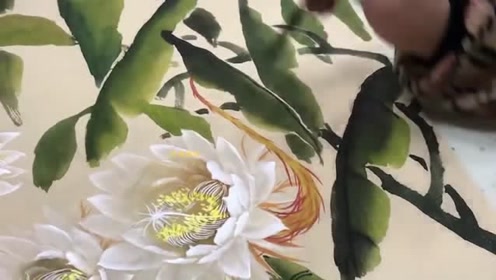 中国花鸟画昙花画法视频教程,入门也就两三个视频的事