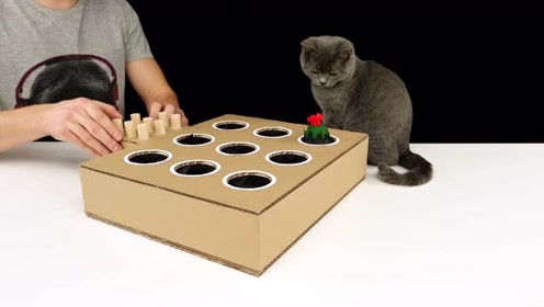 手工diy猫打地鼠玩具,一起欺负家里的小猫咪吧