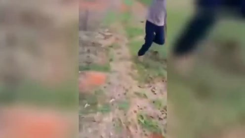 哥们说他被野猪追，叫我赶紧来帮忙，没想到过来一看，顿时看懵了