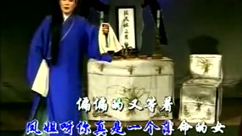 申小梅演唱越调《李天宝吊孝》,太感人了!