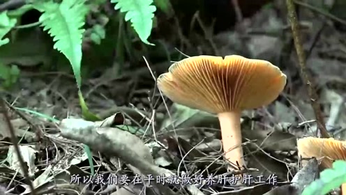 春天养肝就是续命！3种食物最适合吃,别挑食