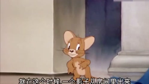 猫和老鼠,汤姆被幽灵吓得不轻,杰瑞在角落里偷偷地笑!