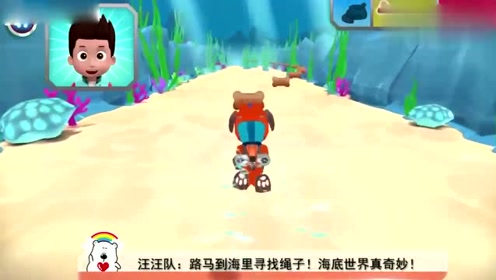 小七来到了主人的墓地,瞬间控制不住的哭着叫了声:妈妈