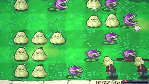 僵尸僵尸大战-倭瓜和大嘴花大战结果倭瓜,植物被操作了v僵尸!夏普im4511冲破说明书图片