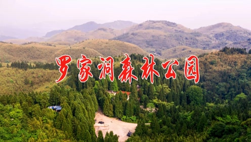 罗家洞森林公园