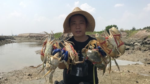 兴哥赶海撞大运了,这种螃蟹洞竟能挖出猛货青蟹,下海就碰到大货