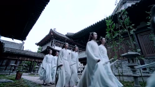 陈情令:肖战刚被救,姑苏蓝氏就来莫家庄