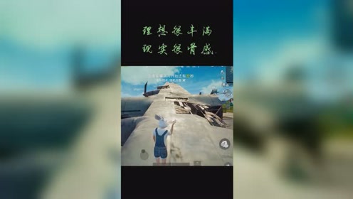 理想很丰满,现实很骨感.
