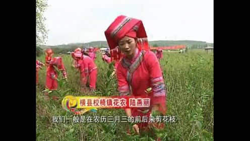 广西壮族壮话山歌情歌对唱!