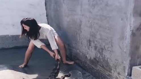 美女穿着裙子抓鳄鱼!鳄鱼立马死亡翻滚!把美女胳膊给扭了!