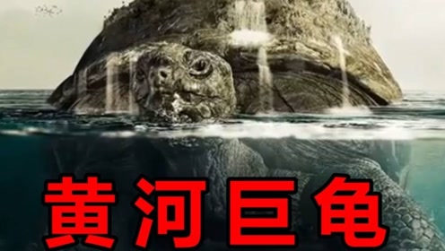 黄河巨龟的传说:1965年黄河巨龟是怎么回事,为何下落不明?