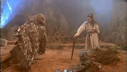 神雕侠侣:重剑无锋大巧不工,杨过点满重剑精通,与雕一战