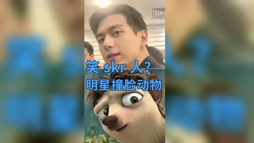 明星动物撞脸系列,你觉得谁最像哇?李现这个绝了