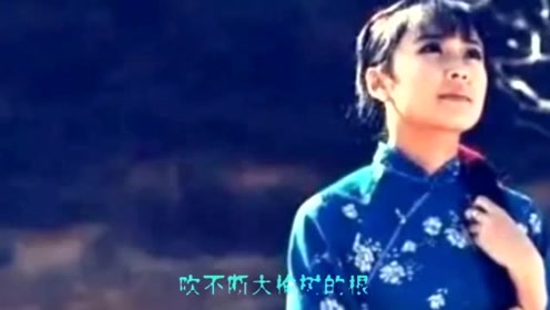 段红露二胡演奏《走西口》