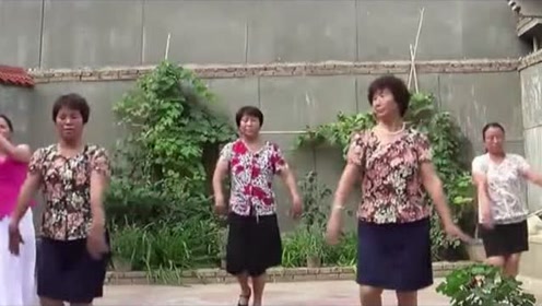 甘肃礼县农村大妈跳广场舞,头一次见这样的舞,跳的真棒!