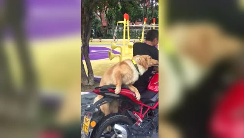 上个车不容易呀，太费劲了