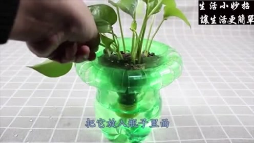 生活小妙招:可乐瓶子只要一刀就能变成生活花瓶,让我们学习下吧