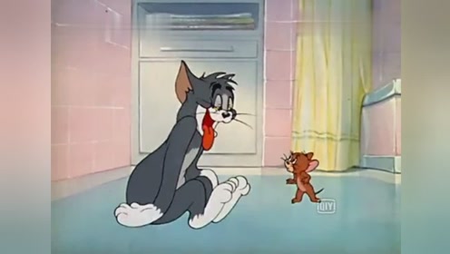 猫和老鼠汤姆喝醉了,把杰瑞当兄弟管吃管喝